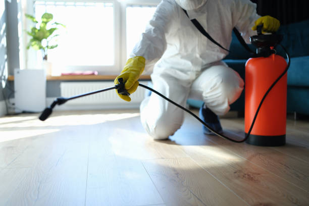 Reliable Infectious Disease Decontamination contractor in Mineola, TX by Trauma Clean Pros